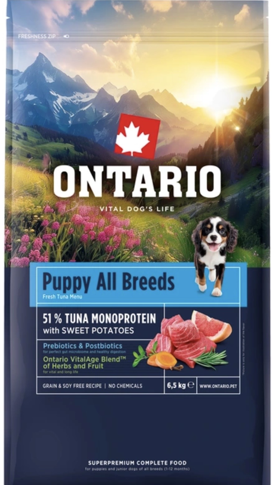 Puppy All Breeds met Zoete aardappel