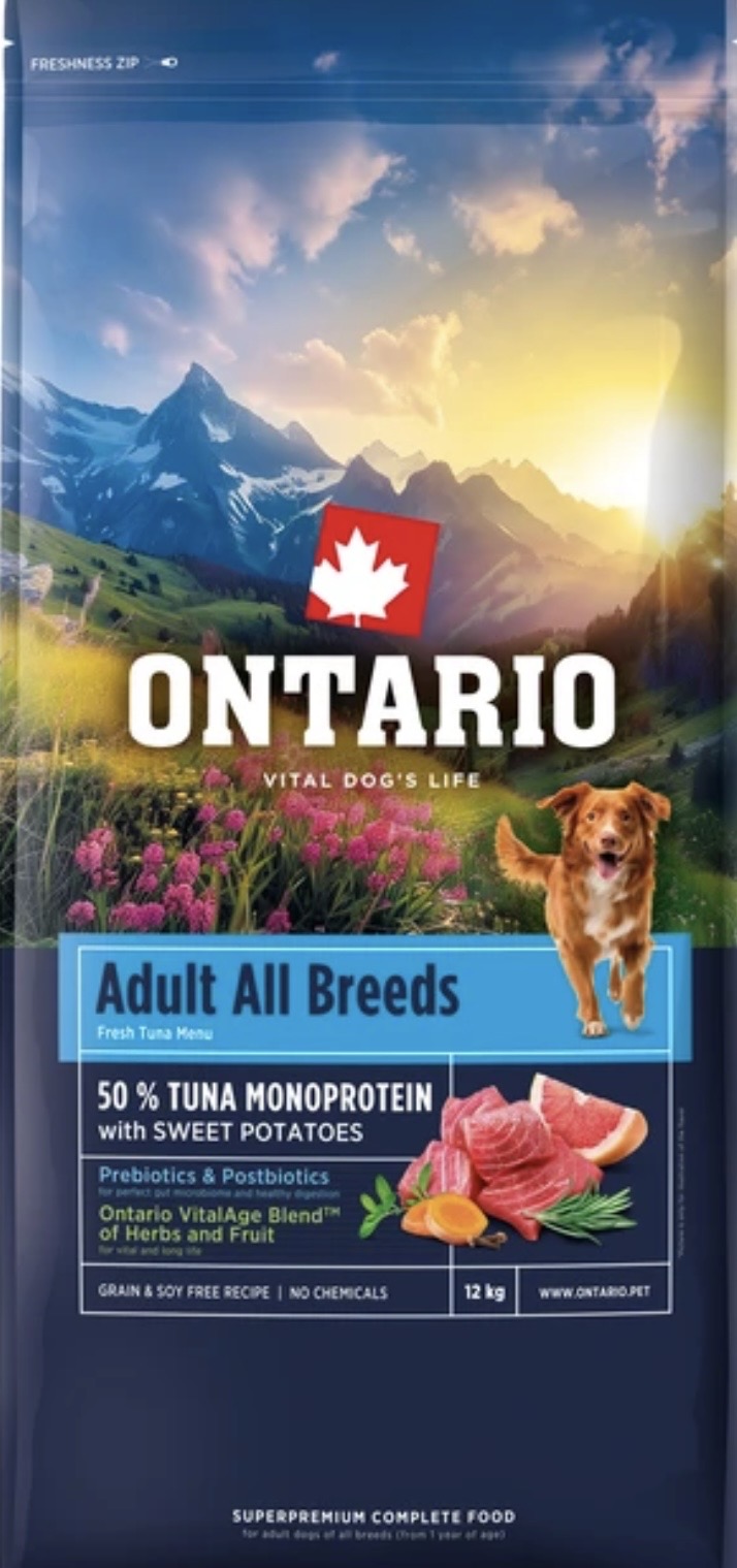 Adult All Breeds met Zoete aardappel