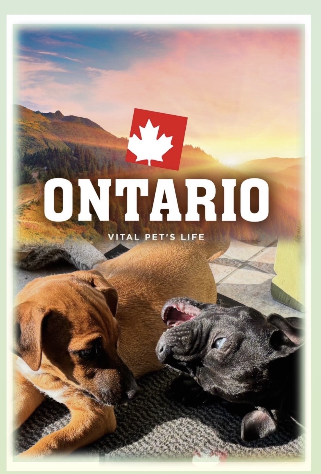 Over Ontario